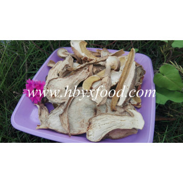 Getrocknete organische Porcini Pilze von Yunnan